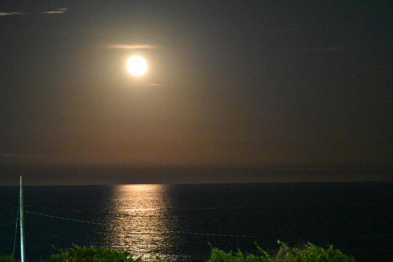 Nauset Beach Inn Nowy Orlean Zewnętrze zdjęcie